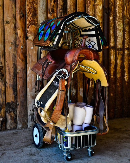 ROLLING DOLLY (19W x 28L x 48H)