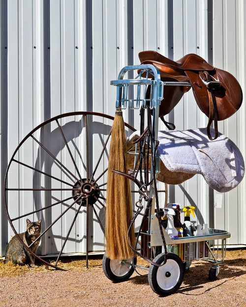 ROLLING DOLLY (19W x 28L x 48H)