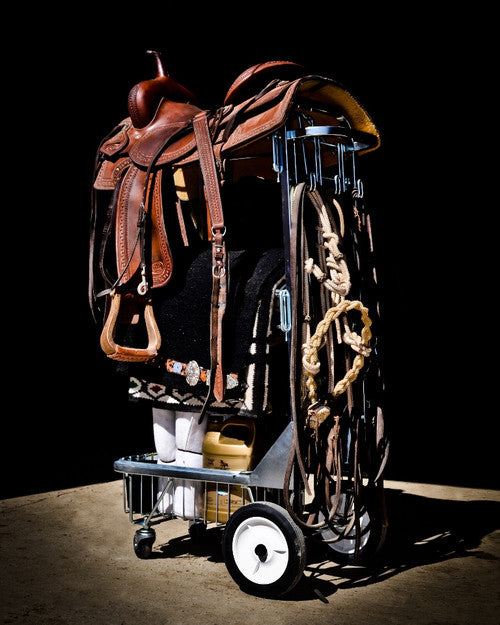 ROLLING DOLLY (19W x 28L x 48H)